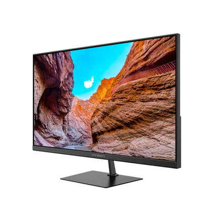 Refurbished 24D1F Pro | 24" 100Hz IPS USB-C FHD Business Monitor | INNOCN
