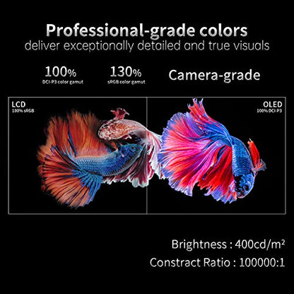13K1F | 13.3" OLED Full HD 1080P Portable Monitor