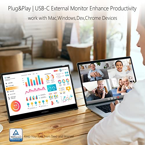 13K1F | 13.3" OLED Full HD 1080P Portable Monitor